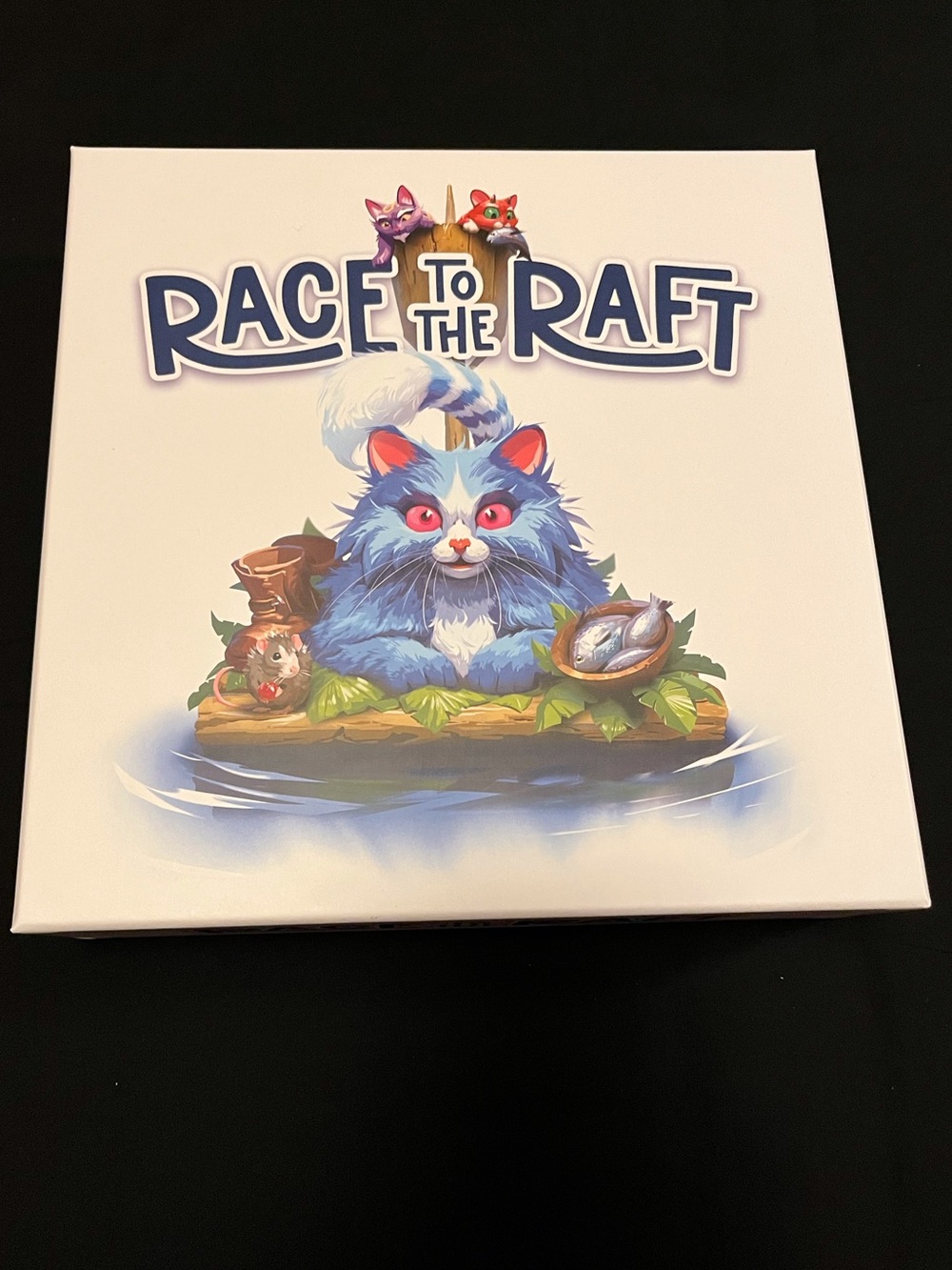 Race to the Raft game